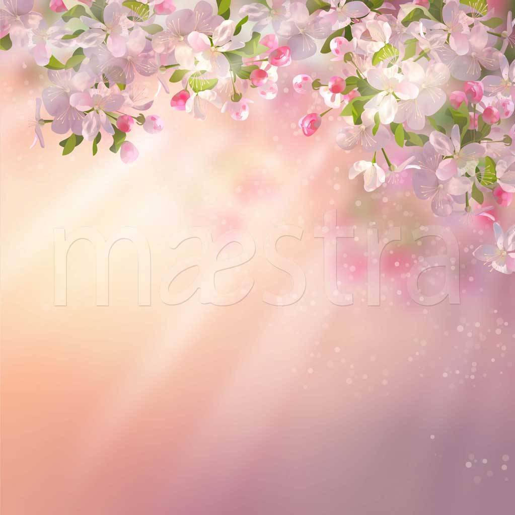 Фотообои Розовая цветущая сакура купить в Оренбурге, Арт. 10-117 в  интернет-магазине, цены в Мастерфресок